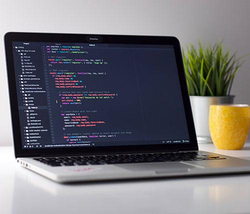 Unsplash Stock Photo 1